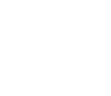 lowfi logo